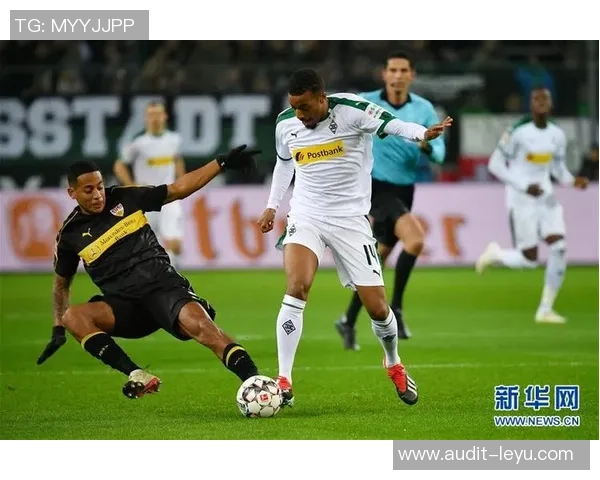 奥戈足球的魅力与挑战：探索这项运动的未来发展与全球影响